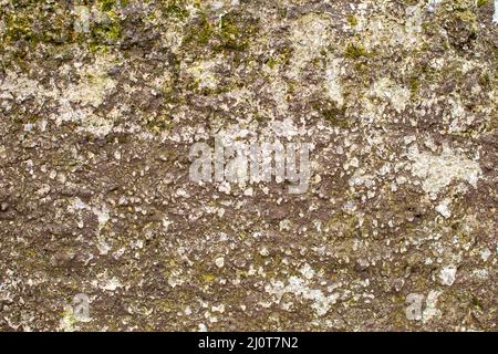Wall facade as natural background, discolored dirty plaster Stock Photo