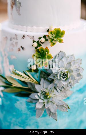 Tier of wedding blue and white cake decorated with green succulents Stock Photo
