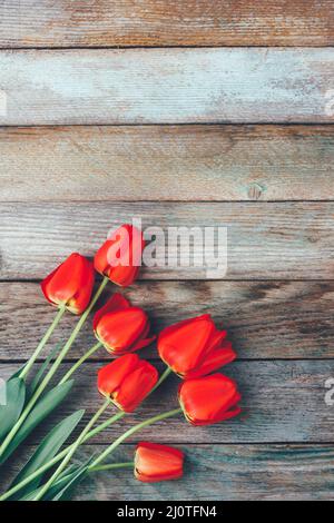 Bouquet of red tulips on light blue wooden retro grunge background with copy space. The concept of Mothers Day, womens day, top Stock Photo