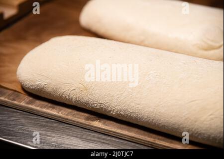 A piece of raw French bun dough against the background of other bun dough pieces. Raw craft bread dough Stock Photo