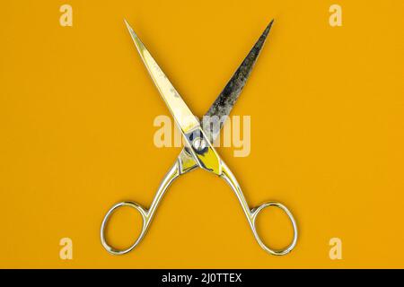 Very sharp retro professional tailor scissors Stock Photo