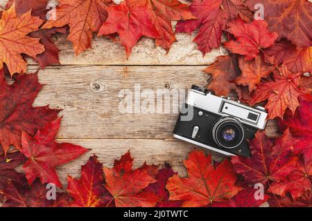 Old camera and red autumn leaves Stock Photo