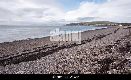 The pebble beach of Largs seafront.Largs is a holiday resort on the West coast of Scotland and has Calmac ferries that go  from here over  to Cumbrae.