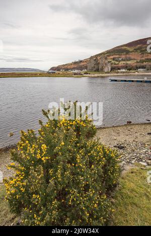 Lochranza Castle on the north coast of Arran Scotland. Lochranza Castle is an L-plan fortified tower house situated on a promontory in Lochranza. Stock Photo