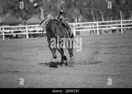 Cowboy is falling off his ride on bucking horse in bareback bronc event at a country rodeo and loses his hat. Stock Photo