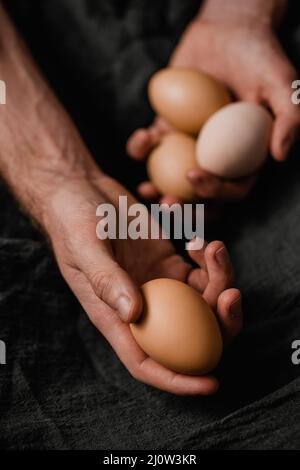 Fresh organic eggs on the hands of young farmers Stock Photo