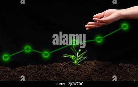 Green sprout on the ground, a bottom-up graph and a woman's hand. Business growth concept, goal achievement and success Stock Photo