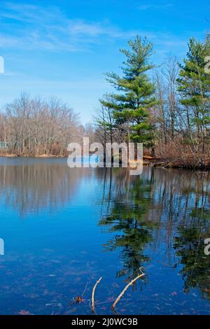 Barren tree branches and faint clouds reflect in the calm waters of a lake on a sunny afternoon in late winter -16 Stock Photo