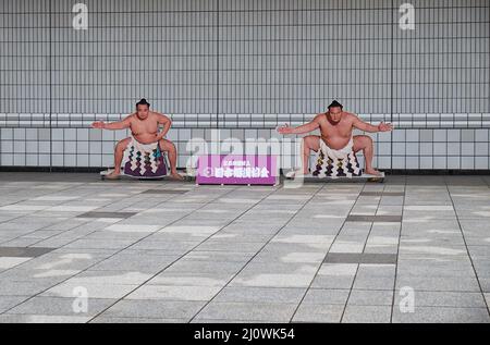 Figures of Yokozuna Hakuho and Kakuryu at photo zone in front of Stock Photo