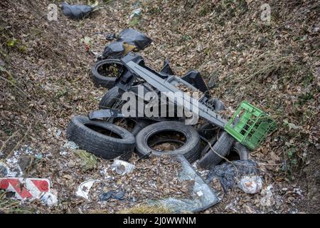 Old used car tires in the forest. Illegal dump of tires in the nature. Environmental pollution. Stock Photo