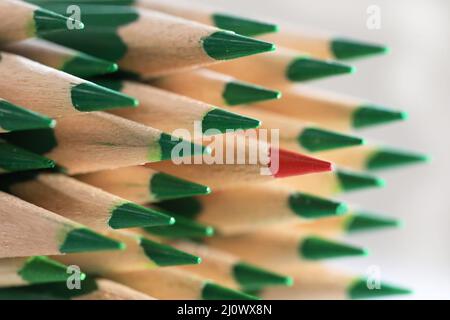 A lone sharp red colored pencil sticking out from the crowd of green pencils. Individuality and confidence concept. Celebrating differences idea. Stock Photo