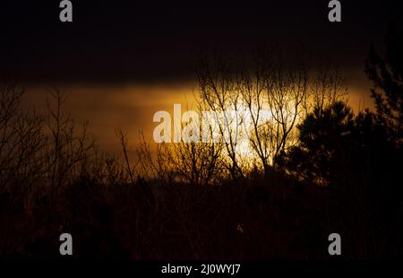 Rising orange moon with tree branch silhouettes on the cloudy night sky Stock Photo