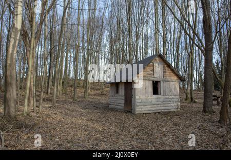 An old wooden cottage among trees in the forest. Vintage hut or cabin in the nature. Stock Photo