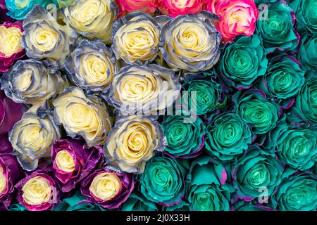 Beautiful blue roses background. Floral abstract background for wedding and engagement. Stock Photo