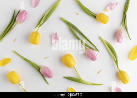 Top view blooming tulips. High quality beautiful photo concept Stock Photo