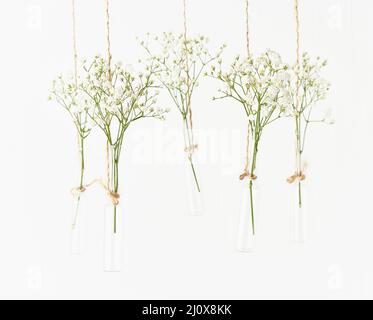 White flowers in glass mini vases hanging on white background. Copy space Stock Photo
