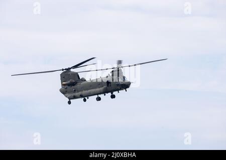 Chinook Helicopter flying low in Snowdonia, Wales, UK Stock Photo