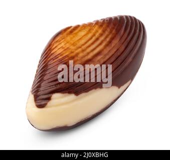 Chocolate sweets shaped as seashells isolated on white background Stock Photo