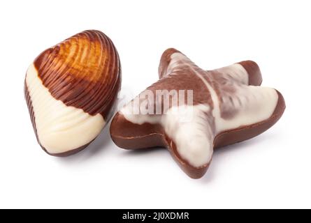 Chocolate sweets shaped as seashells isolated on white background Stock Photo