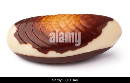 Chocolate sweets shaped as seashells isolated on white background Stock Photo