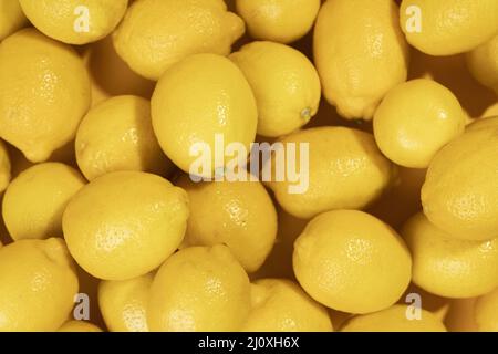 Close up bunch raw lemons. High quality beautiful photo concept Stock Photo