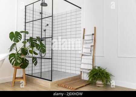 Bathroom interior design with shower. High quality beautiful photo concept Stock Photo
