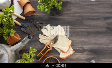 Plants gardening tools close up. High quality beautiful photo concept Stock Photo