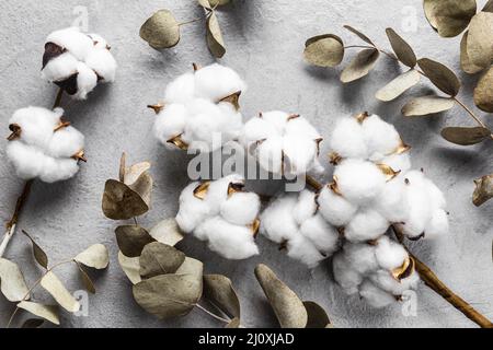 Top view dry leaves with cotton. High quality beautiful photo concept Stock Photo