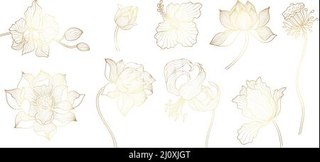 Gold outline flowers. Asian golden lotus, yoga floral bloom art elements. Indian flower, orchid and leaves. Oriental exotic plants nowaday vector set Stock Vector