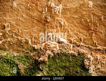 picture with abstract sandstone wall texture, sand, moss and lichen patterns on the wall, suitable for background Stock Photo