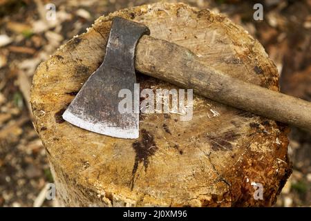 Close up wood chopping axe Stock Photo