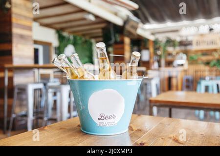 Refreshing beers bucket. High quality beautiful photo concept Stock Photo