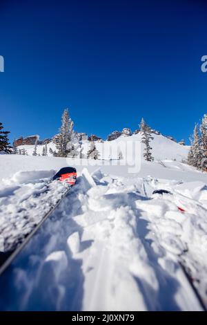 Hiking on ski tour of skiing in winter forest with views of snowy mountains. Stock Photo