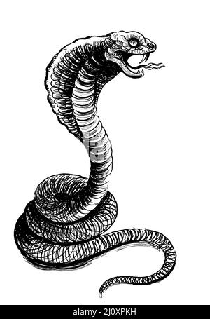 Angry cobra snake. Ink black and white drawing Stock Photo