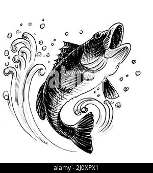 Jumping salmon fish. Ink black and white drawing - a Royalty Free Stock  Photo from Photocase