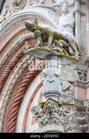 Siena, Italy - 2022, February 18: Capitoline Wolf at Siena Duomo. According to a legend Siena was founded by Senius and Aschius, two sons of Remus. Stock Photo