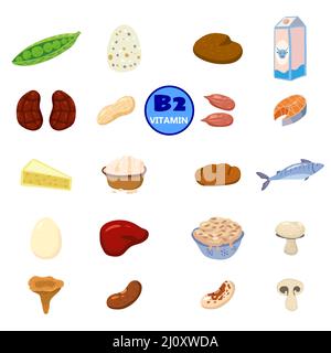 Set of Vitamin B2 origin natural sources. Healthy diary rich food containing riboflavin, cheese, mushrooms, nuts, fish. Organic diet products, natural Stock Vector