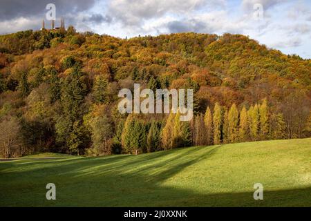 meadow, green, forest, hill, cloudy, sky, south, styria, region, landscape, south styria, mixed forest, mixed, mowed, brown, colors, colorful, yellow, Stock Photo