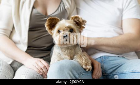 Married couple their dog. High quality photo Stock Photo