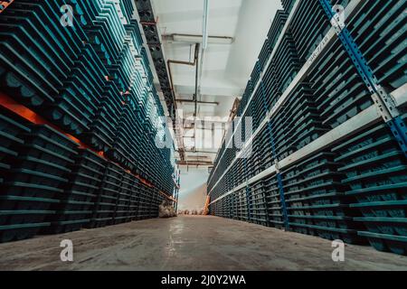 Gold mining storage rock core samples geology drilling industy. Large ore warehouse in modern industry, ores stacked in boxes. S Stock Photo
