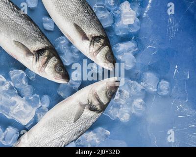 Top view fish ice cubes. High quality photo Stock Photo