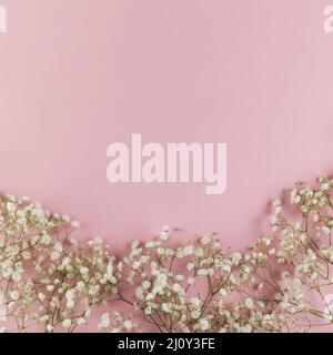 White fresh baby s breath flowers against pink background. High quality photo Stock Photo