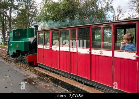 WOODY BAY, DEVON, UK - OCTOBER 19 :Lynton and Barnstaple Steam Railway  at Woody Bay Station in Devon on October 19, 2013. Three Stock Photo