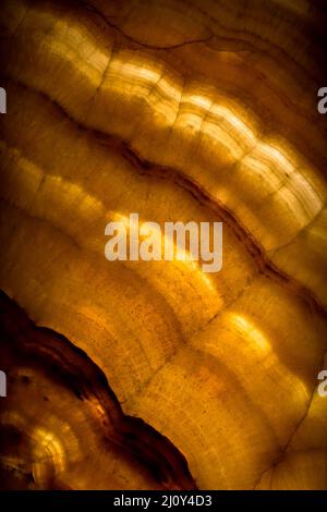 Architectural detail of an antique alabaster stone sheet. Elegant background. Stock Photo