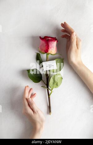 Composition pretty mother s day elements. High quality photo Stock Photo