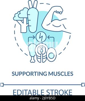 Supporting muscles concept icon Stock Vector Image & Art - Alamy