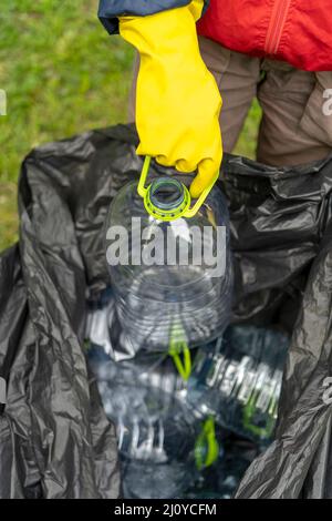 Separate garbage collection. Hand putting plastic bottle into black plastic trash bag filled with other bottles. Stock Photo