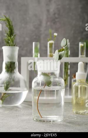Laboratory glassware with natural essential oils on grunge background Stock Photo
