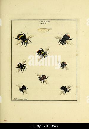 Moses Harris' 'The Natural System of Colours' is a significant work in ...