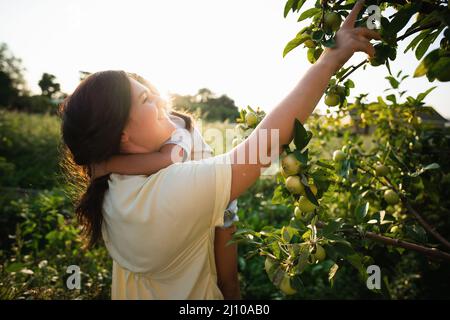 European mother and her Asian daughter in the apple garden in summer  Stock Photo